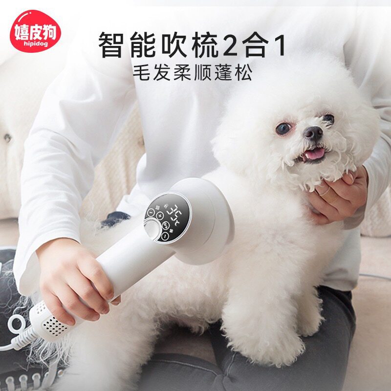 宠物吹风机狗狗智能吹毛拉毛一体机猫咪梳毛速干小型犬洗澡吹水机