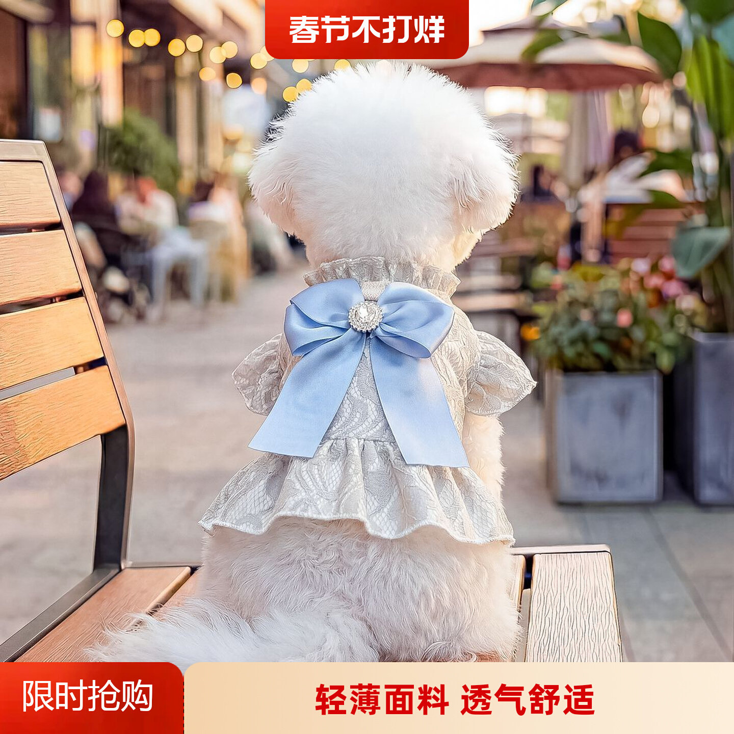 春夏新款宠物衣服小型犬博美泰迪猫咪轻薄款法国蓝蝴蝶结蕾丝纱裙
