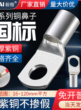 国标A级加厚冷压窥口鼻SC2.5/4/6/10/35-8平方镀锡铜线鼻子接线端