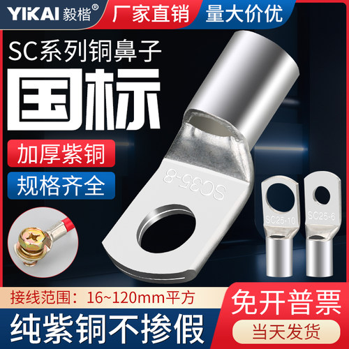 国标加厚SC窥口铜鼻子