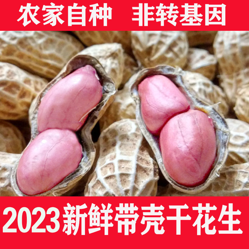 2023年新鲜晒干粉皮带壳生花生农家自种薄壳小白沙果原味炒熟5斤