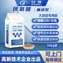 装 降总氮厌氧缺氧池专用微生物菌剂厂家 甘度厌氧菌 污水处理菌种