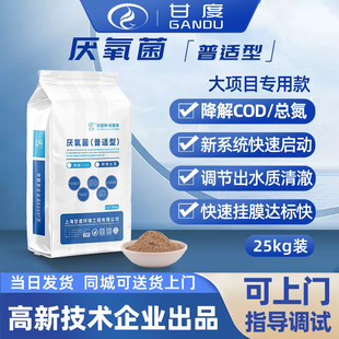 污水处理菌种 甘度厌氧菌 装降总氮厌氧缺氧池专用微生物菌剂厂家