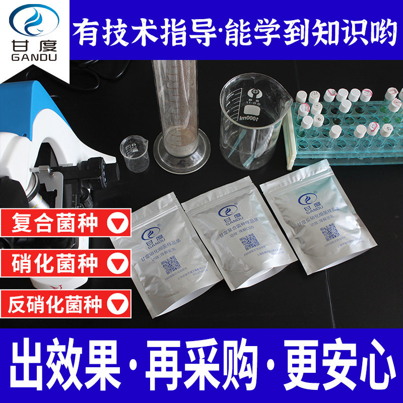 甘度污水处理菌种样品有小试指导