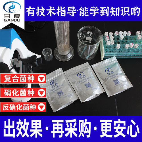 甘度污水处理菌种样品有小试指导