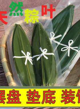 寿司料理摆盘小竹叶 新鲜真空包装小粽叶 烤肉装饰垫底箬叶100片