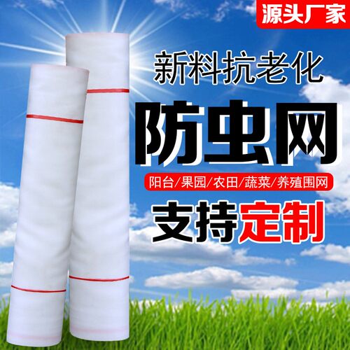 加厚防虫网抗老化听语厂家直销