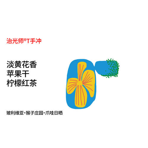 治光师玻利维亚爪哇手冲咖啡豆