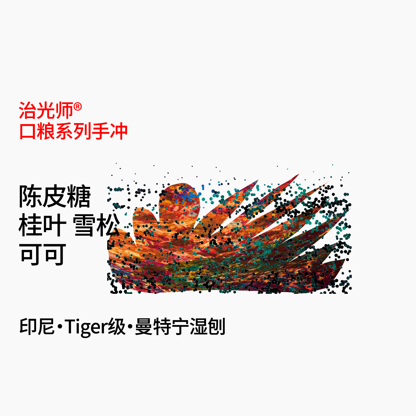 治光师印尼曼特宁手冲咖啡豆