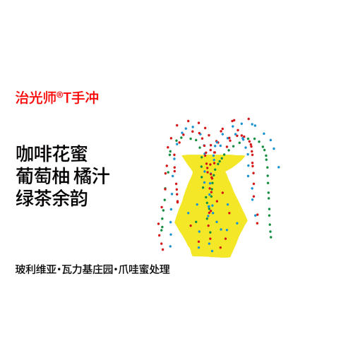 治光师爪哇蜜处理手冲咖啡豆
