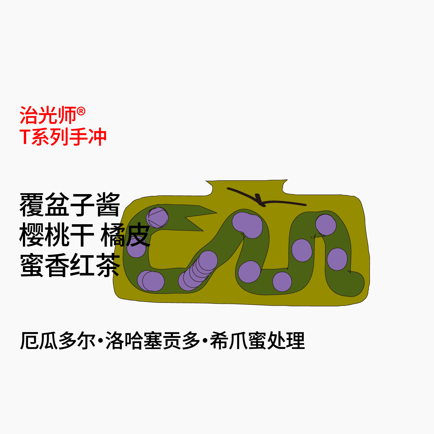 治光师厄瓜多尔希爪手冲咖啡豆