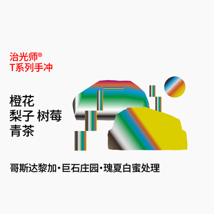 T系列 哥斯达黎加 El Cusuco 巨石庄园白蜜瑰夏 手冲咖啡豆100g