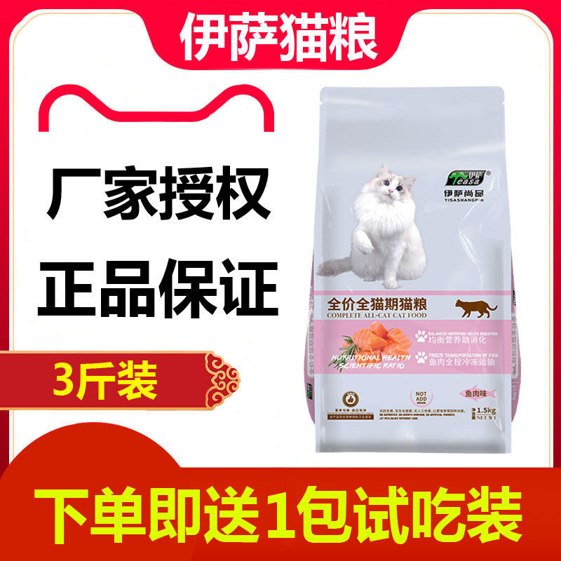 伊萨波斯幼猫短折耳招