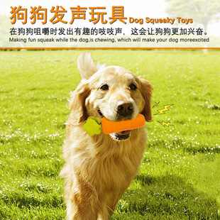 跨境爆款狗狗橡胶玩具金毛洁解闷发声玩具中小型磨牙犬齿宠物互动