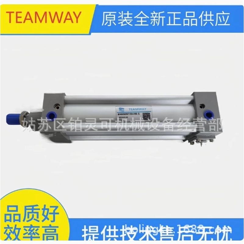 TEAMWAY气压缸TA32N125-A-S DNB50M55-CG-LN02A-2 DNB40M680SH