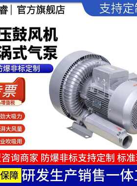 直连式防爆漩涡高压风机RB-92S粉尘气体输送真空负压负压风机15kw