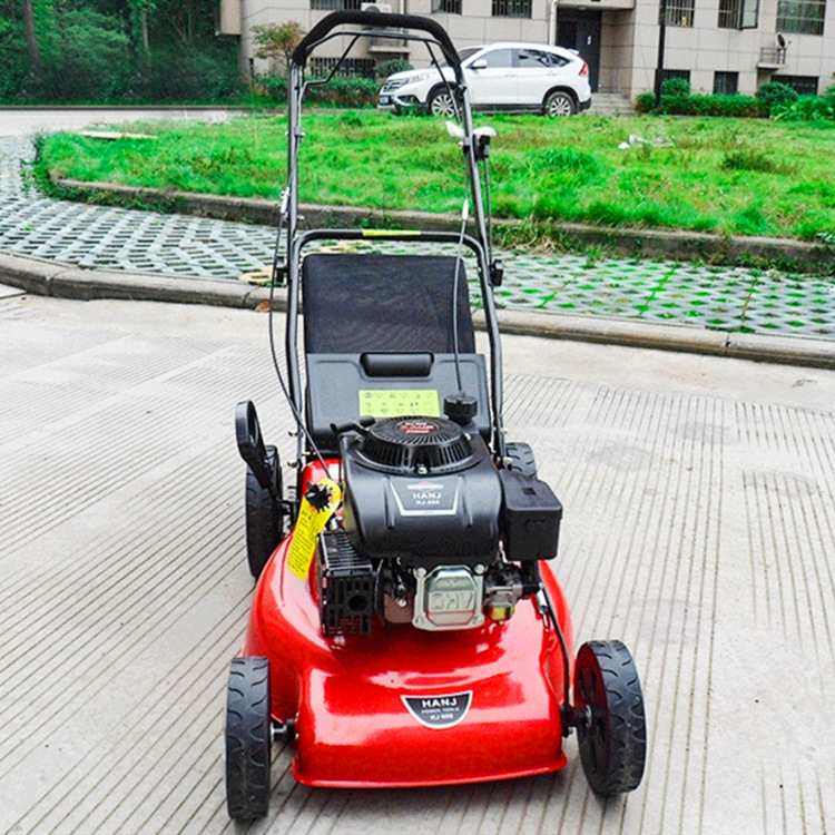 草坪用修剪打草机 手扶自走式汽油割草机 20寸自走式园林除草机,鲜花速递/花卉仿真/绿植园艺,割草机/草坪机,淘宝优惠券,粉丝福利购,淘宝优惠卷