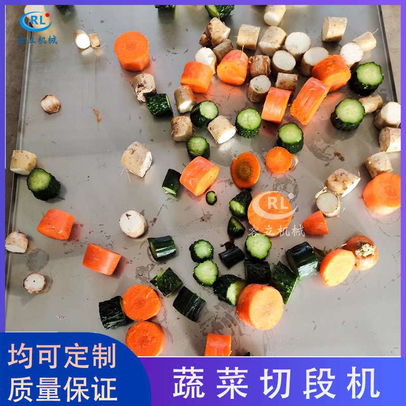 厂家供应莲藕切段机 输送式胡萝卜黄瓜分段机器 全自动山药切段机