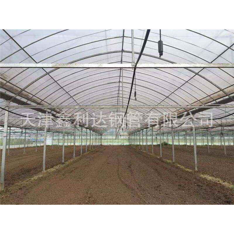 天津镀锌大棚管热镀锌钢管西红柿蔬菜热镀锌大棚钢管拍前咨询客服