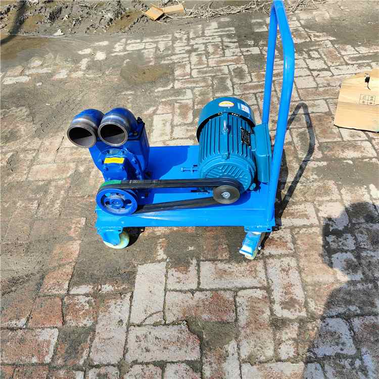 养殖场专用抽粪泵化粪池清理自吸式家用抽猪粪机高扬程排污泥浆泵