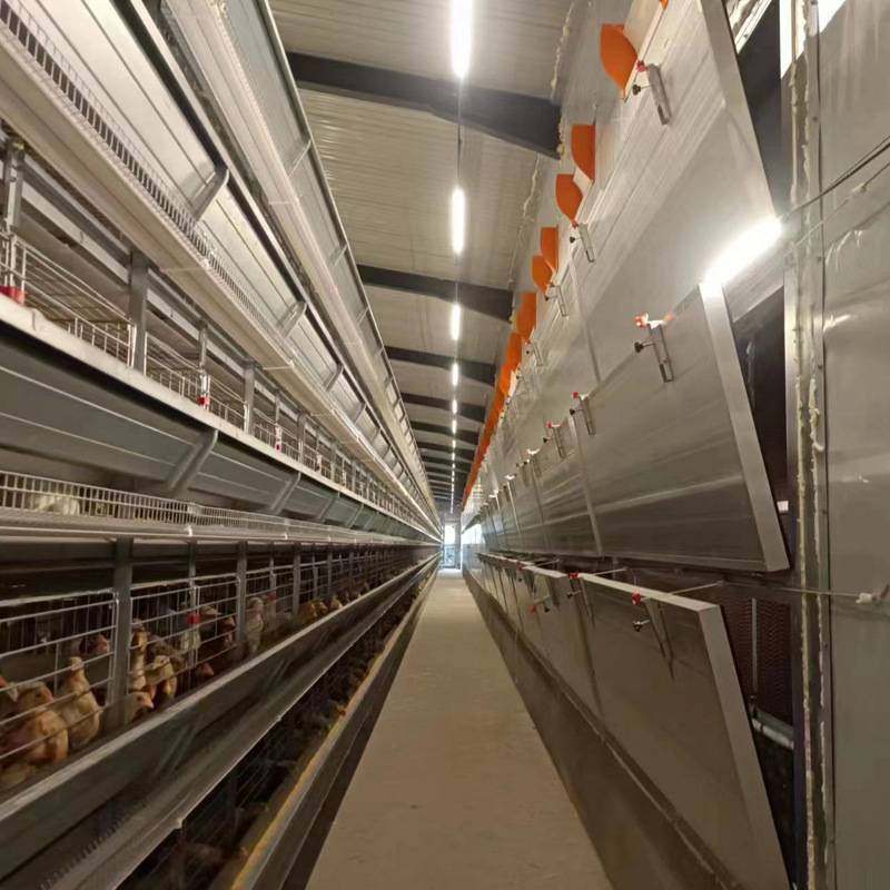 养鸡设备自动清粪系统养殖镀锌H型大层叠蛋鸡笼养鸡设备制造商,畜牧/养殖物资,养殖笼具/鸡笼/兔笼/鸽笼,淘宝优惠券,粉丝福利购,淘宝优惠卷