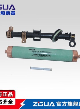 双敏熔丝PRNT-15.5KV/6.3A10A16A50A63A油熔断器变压器浸美式高压