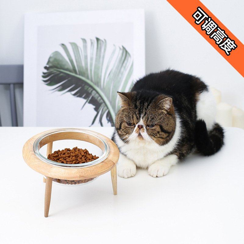 新品 玻璃猫碗高脚保护颈椎猫粮碗猫咪狗猫盆饮水碗宠物陶瓷碗实,宠物/宠物食品及用品,宠物智能碗,淘宝优惠券,粉丝福利购,淘宝优惠卷