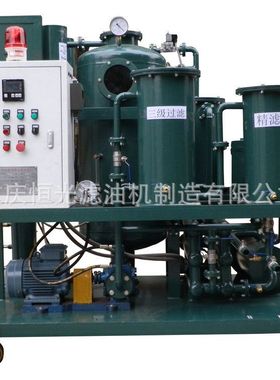 生产供应DYJ多功能润滑油滤油机（标准型）