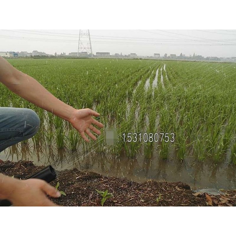 农用二冲程背负式机动汽油机施肥器/撒化肥机器秒杀电动施肥机