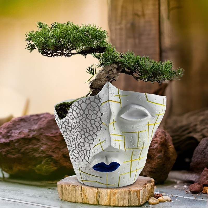 跨境新品创意人脸裂纹抽象家居树脂盆栽园艺植物工艺摆件花盆容器