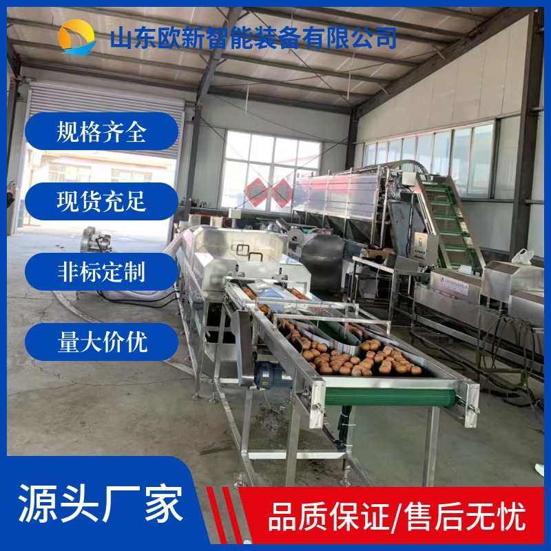 全自动洗蛋机多功能鸡蛋鸭蛋清洗风干杀菌喷油流水线麻酱蛋清洗机