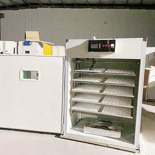 全自动孵化机微电脑控制器1232枚孵化出雏体机家用鸽小型孵蛋器