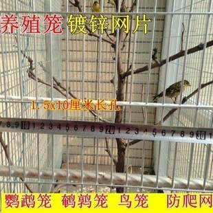加密鸟笼网鹦鹉笼家用鸽笼养殖热镀锌网片铁丝网格丝小长孔防锈