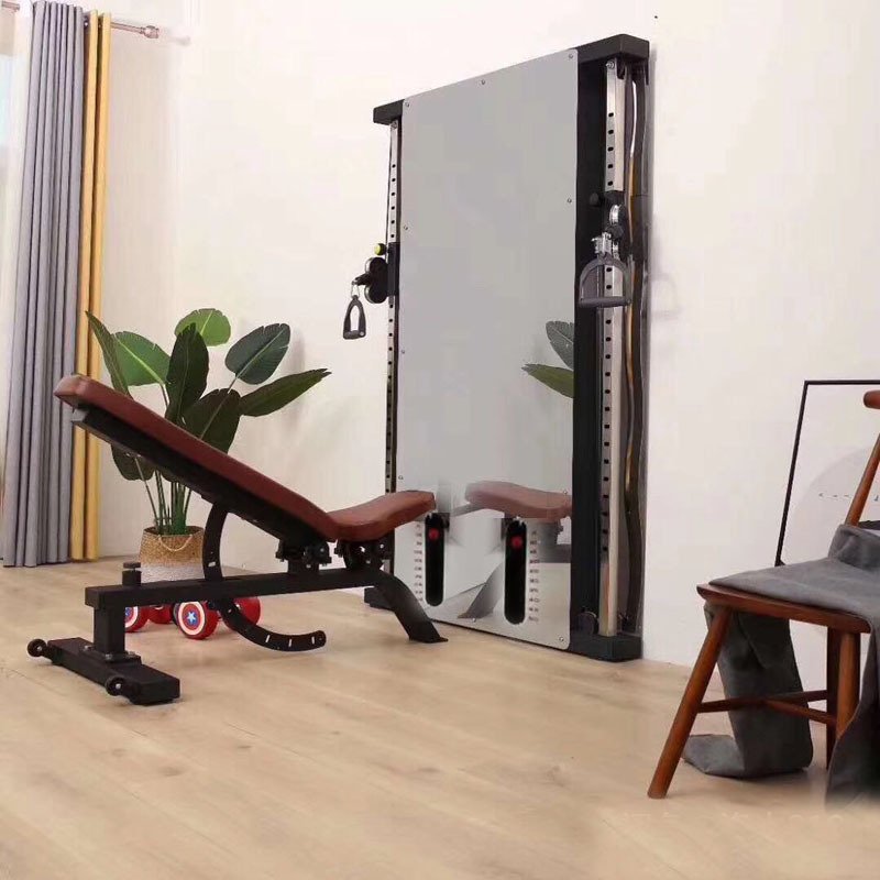 家用墙壁小飞鸟外贸壁挂式小飞鸟龙门架贴墙飞鸟训练器