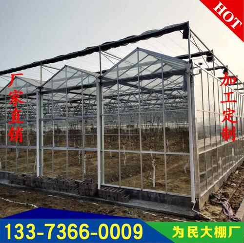 智能连栋玻璃温室大棚 纹络式外遮阳科技观光阳光板大棚骨架厂家