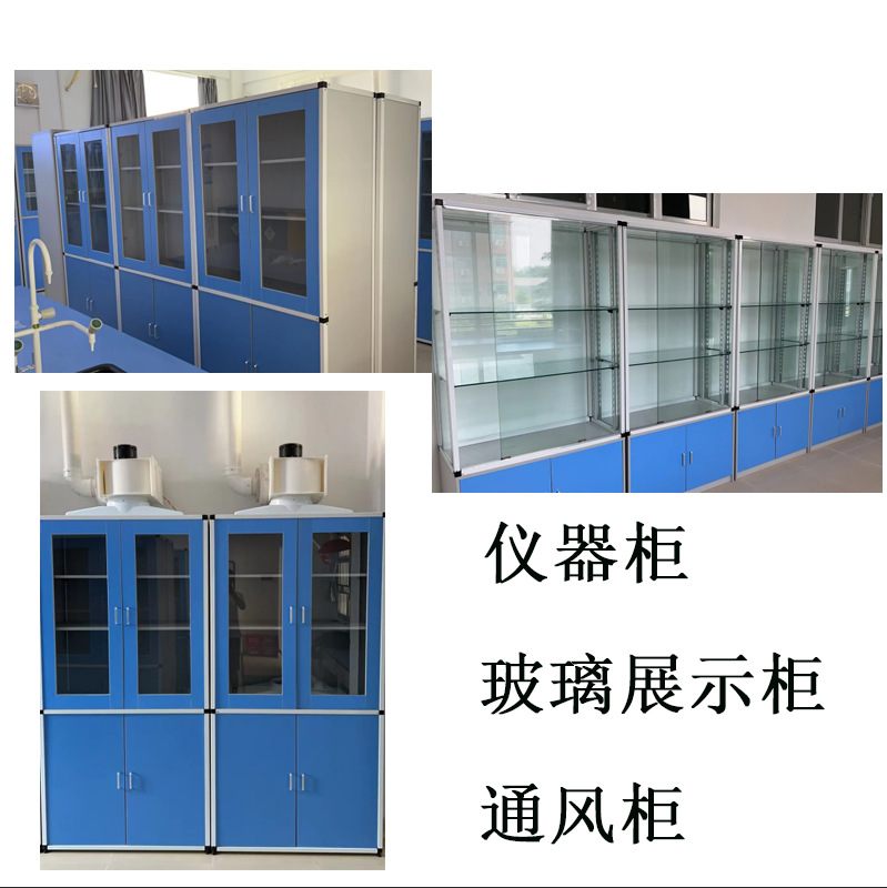 玻璃标本柜 学校仪器柜药品器皿柜理化生准备室 学生实验室专用图片
