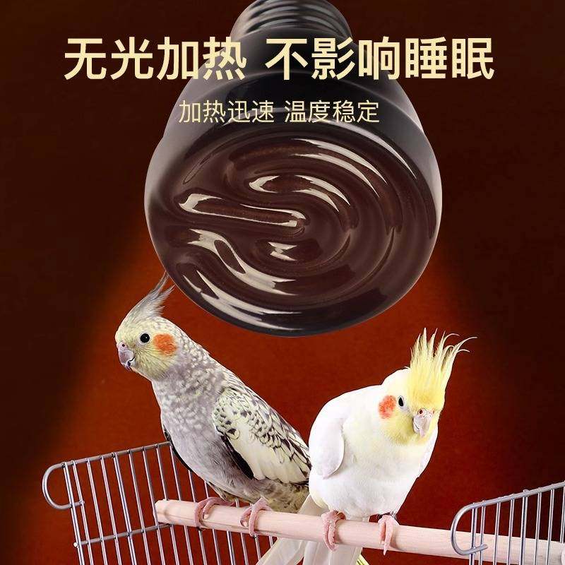鹦鹉保温灯取暖鸟用加热调节加热灯陶瓷可凤专用过冬取暖器玄幼鸟,畜牧/养殖物资,养殖保温灯,淘宝优惠券,粉丝福利购,淘宝优惠卷