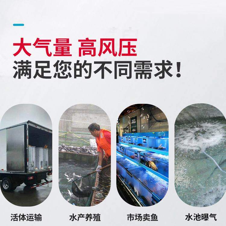 750w/380V【三相】高压漩涡气泵 水产养殖鱼塘增氧机污水曝气机