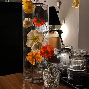 插花花瓶亚克力透明水养花瓶家庭客厅高级感ins工位情绪稳定摆件