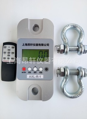 昂轩AXL-R-10吨直视拉力计10000kg 电子测力计10t手扳葫芦拉力仪