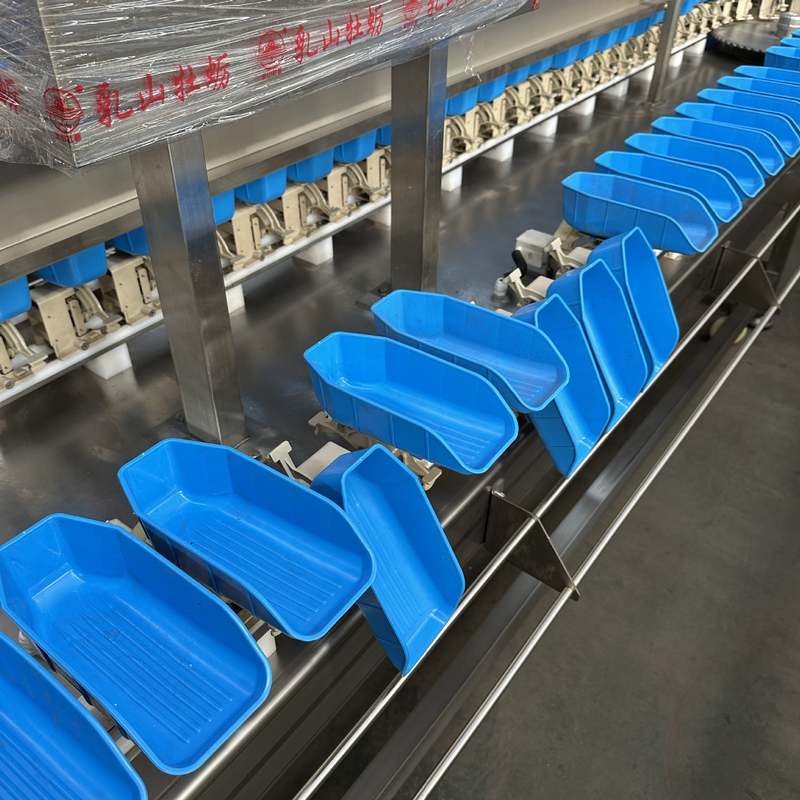 鲅鱼料盒重量分选机 猪脚称重分拣设备 多宝鱼检重机自动挑选