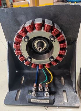 24V36V48V60V72V220V2000W风力水力永磁三相无刷交流赠程器发电机