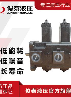 俊泰 低噪音 油压设备用液压泵 VP-DF-30-30-D 双联变量叶片泵