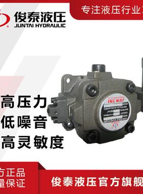 （厂家现货） 台款HVP30 油压电机用中压变量叶片泵 中压泵