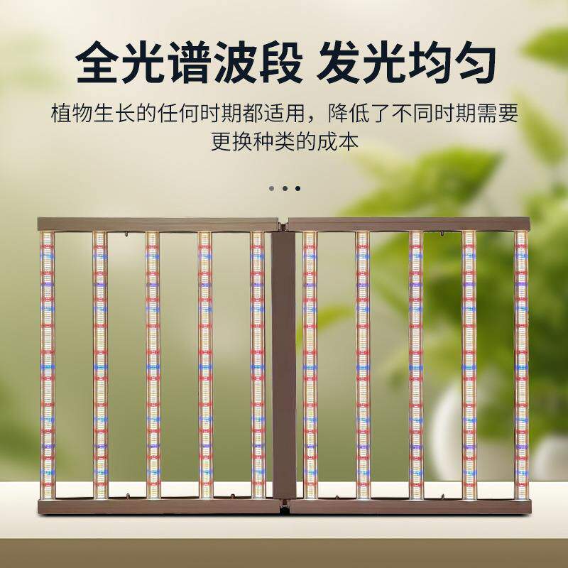 泰国大功率全光谱植物灯4x6ft大棚种植补光灯1000W植物生长灯工厂
