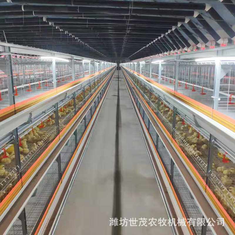 厂家定制自动化鸡笼 阶梯式蛋鸡笼 养鸡场养殖设备 肉鸡笼养设备