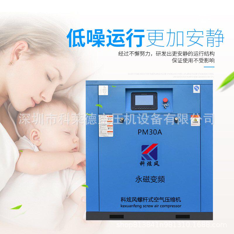 220v小型空压机 变频螺杆机空压机 便携式空气压缩机 厂家批发