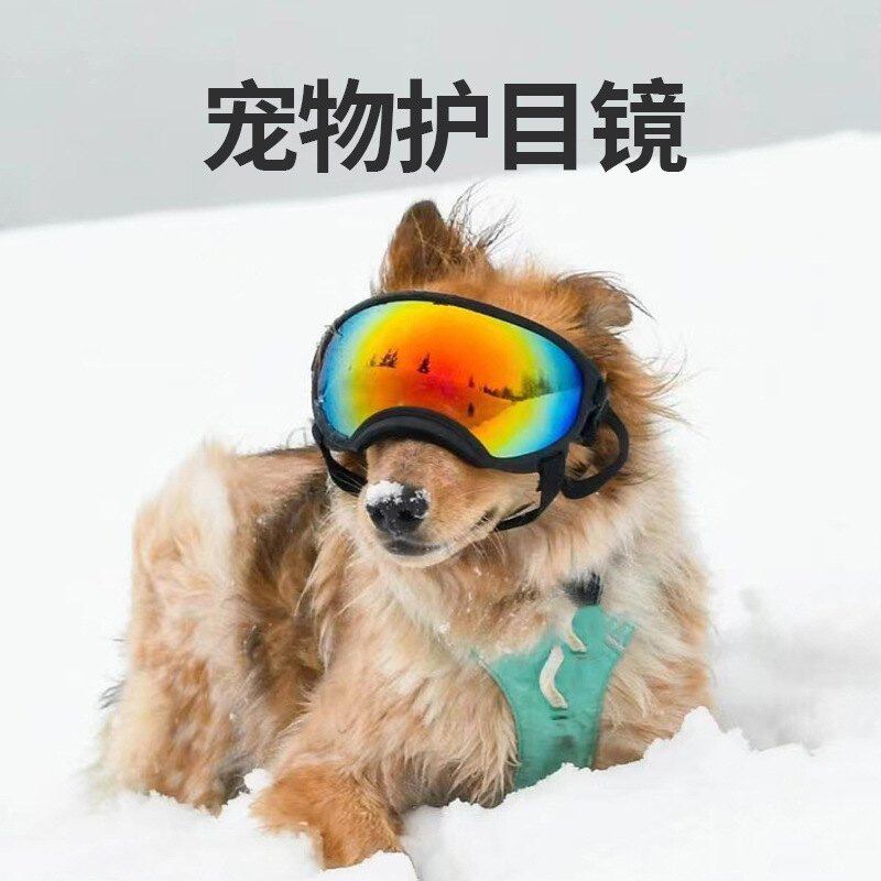 新品宠物眼镜炫酷时尚防紫外线防风狗狗护目镜户外眼镜猫咪墨镜太
