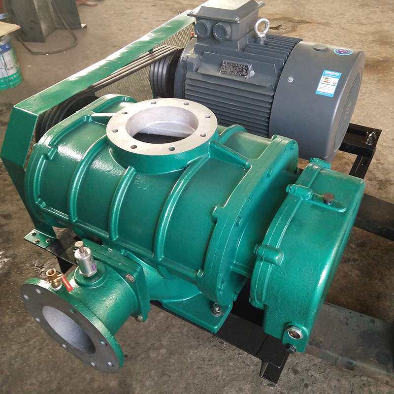 曝气风机水产养殖污水处理设备气力输送罗茨鼓风机厂家铸铁增氧