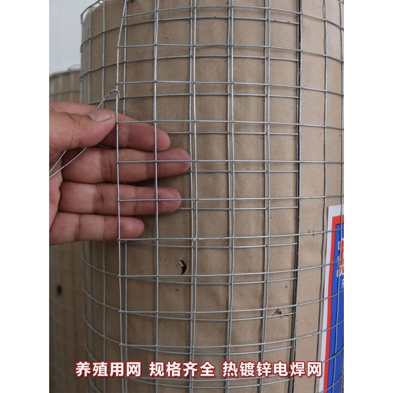 24热镀锌铁丝网围栏养鸡养鸭钢丝养殖户外防护围墙栅栏网片防鼠格